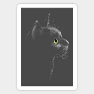 Black Cat Sticker